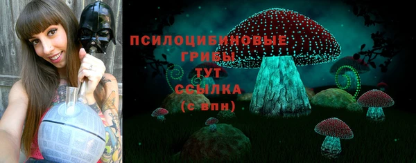 мескалин Карпинск